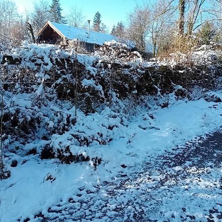 Chalet Barvaux Met Grote Tuin 더뷔 외부 사진