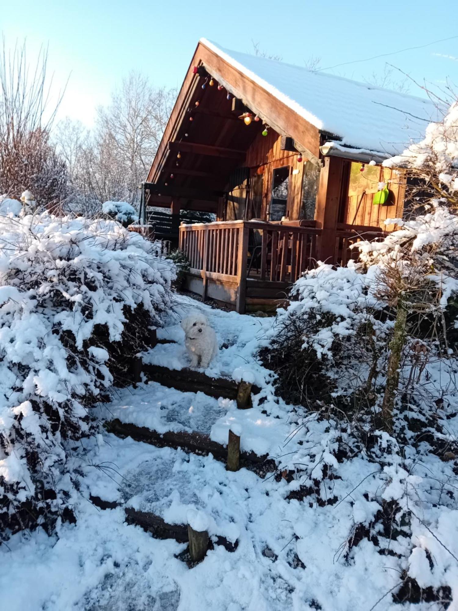 Chalet Barvaux Met Grote Tuin 더뷔 외부 사진